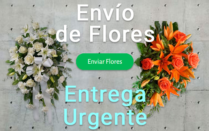 Envio flores difunto urgente a Tanatorio Soria